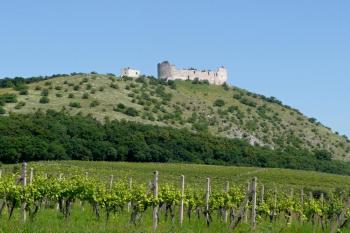 hrad Děvičky nad pavlovskými vinicemi ( © Jan P. Štěpánek 07/2010)