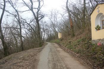 Křížová cesta. (© Luděk Vláčil 02/2016)