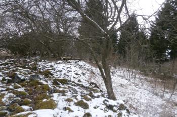  (© Prudký Martin, 02/2016)