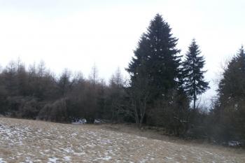 Severní okraj valu (© Prudký Martin, 02/2016)