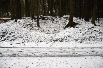 celkový pohled na  méně dochovanou vápenku u cesty (© jiri  doležal, 02/2016)