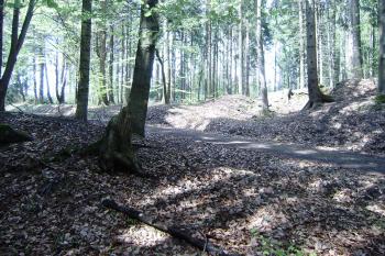 vápenka u asfalt. cesty (© jiri  doležal, 05/2017)