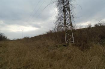  (© Pavel Makovec, 03/2016)