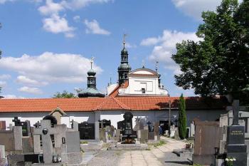  ( © Luděk Pitter 05/2004)