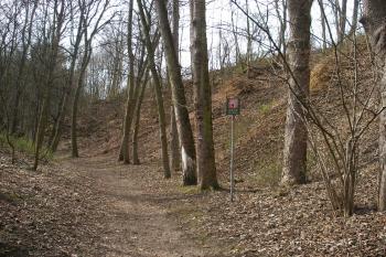 Housle ( © Jiří Špaček 04/2016)