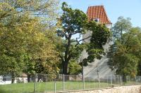 kostel sv. Bartoloměje