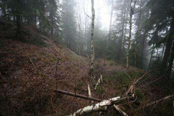 Okružní příkop hradu (© Petr Nožička 12/2015)