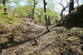 Hradní příkop (© Luděk Vláčil 04/2016)