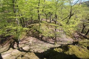 Pohled na hradní příkop (© Luděk Vláčil 04/2016)