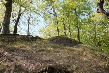  ( © Luděk Vláčil 04/2016)