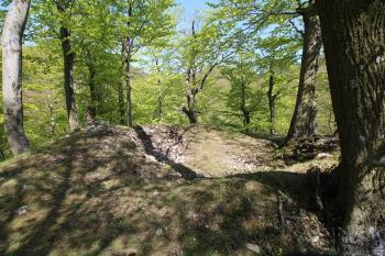  ( © Luděk Vláčil 04/2016)