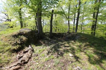 Zbytky hradního jádra. (© Luděk Vláčil 04/2016)