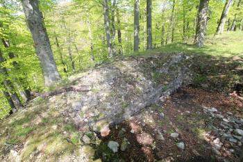  ( © Luděk Vláčil 04/2016)