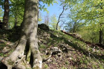  ( © Luděk Vláčil 04/2016)