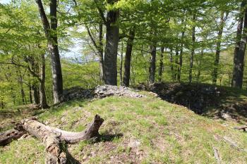  ( © Luděk Vláčil 04/2016)