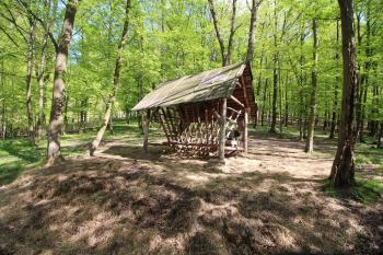 Za tímto krmelcem je hradní kopec ( © Luděk Vláčil 04/2016)