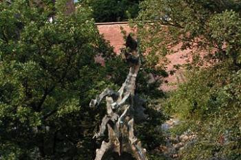 Drak pod hradem - dle pověsti žije v jeskyni ( © Petr Turyna 07/2004)