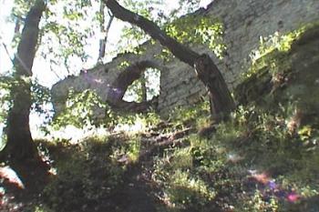 Brána