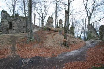 Zbytky věže a budov jádra hradu ( © Filip Matoušek 01/2005)