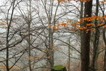 Neodlehlejší část hradu (pozorovatelna) (© Petr Nožička, 10/2008)