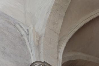Přerušená žebra (© Johannes Cladis, 09/2014)