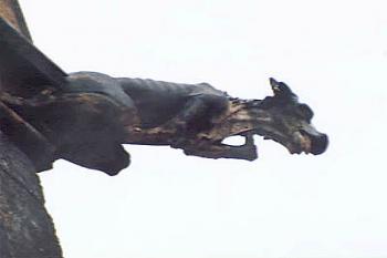 Detail kostela - chrlič (2002 ©Josef Žajdlík)
