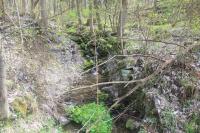 Varhošť (Haslicht, zaniklá ves)