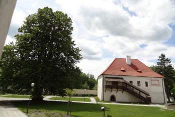  (© Alena Volná, 06/2012)