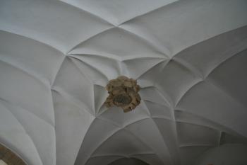Klenba průjezdu předhradí ( © Petr Nožička 01/2011)