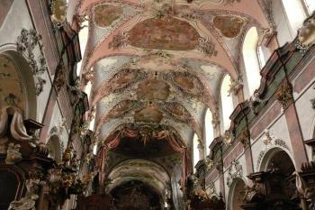  (© fotohad.cz, 08/2008)