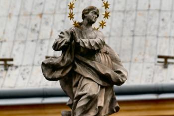  (© Pavel Zany Komárek 3. 6. 2012)