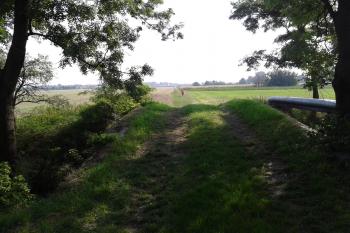 Hraza - most přes Valovou, bývalá cesta z Prostějova do Kralic. V minulosti býval všude les. (Rozehnal Ivo 2015)