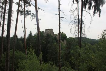  (© Luděk Vláčil, 08/2014)