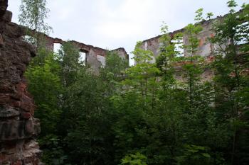 Kamienna Gora (© Jan Pospisil, 07/2016)