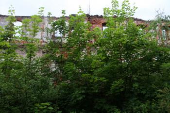 Kamienna Gora (© Jan Pospisil, 07/2016)