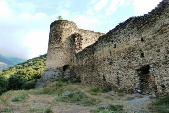  (© Pavel Semple, 08/2013)