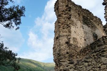  (© Pavel Semple, 08/2013)