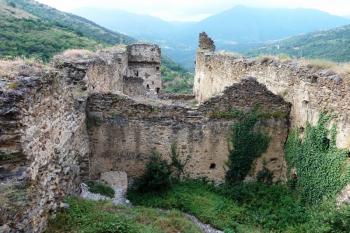  (© Pavel Semple, 08/2013)