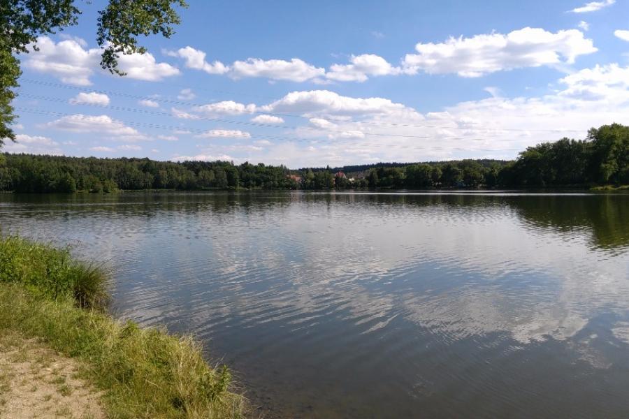 Turyňský rybník
