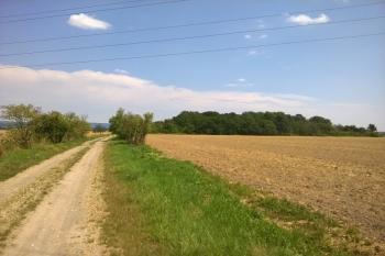  ( © Luděk Vláčil 07/2016)