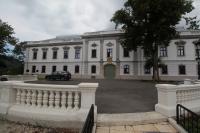 Orlové