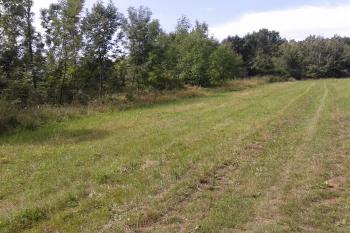 Lokalita nad svahem rybníka, kde měla stávat Křelová Lhota (© Ivo Rozehnal 07/2016)