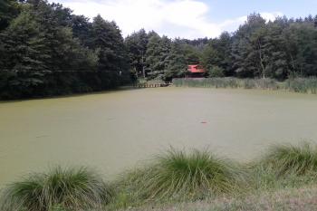 Rybník pod bývalou Křelovou Lhotou ( © Ivo Rozehnal 07/2016)
