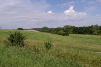 Lokalita Boří, kde končí PR Blátka ( © Ivo Rozehnal 07/2016)