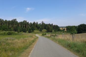 PR Blátka severozápadně za Vincencovem ( © Ivo Rozehnal 07/2016)