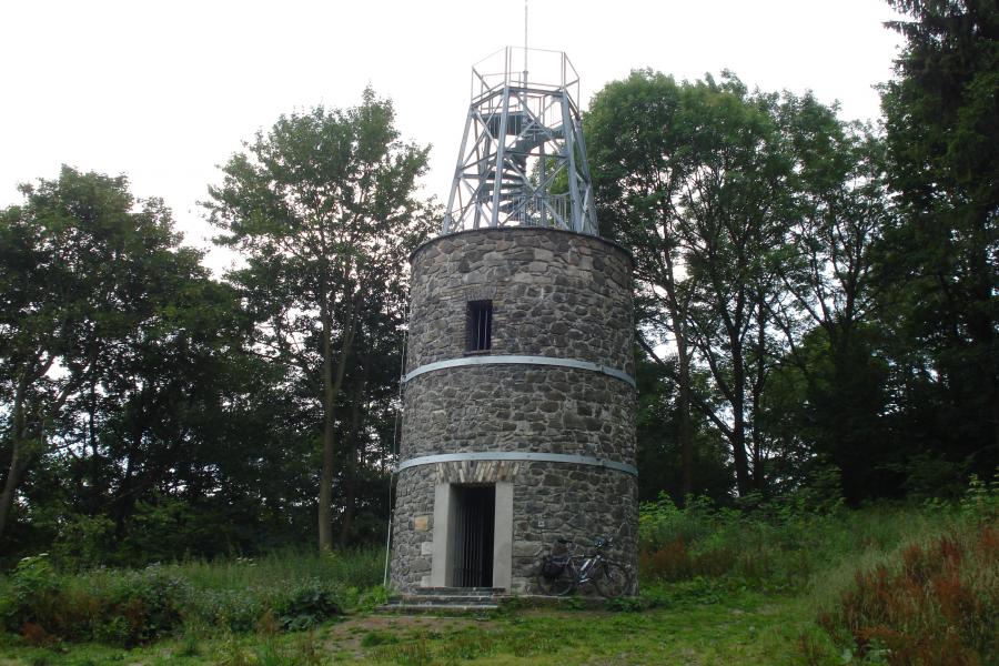 Kohout