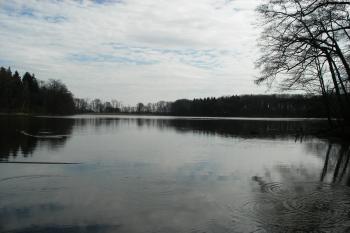 Kalý rybník (© Jiří Špaček, 08/2014)