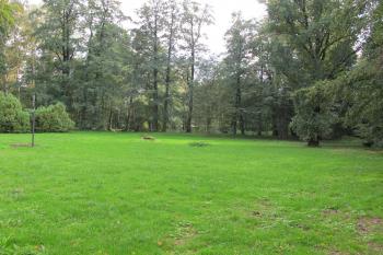 zám.park na jižní straně (© D Dohňanský, 10/2017)