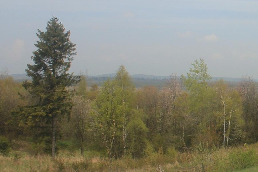 Jestřabí (Habicht)