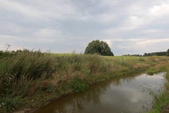  ( © Luděk Vláčil 08/2016)